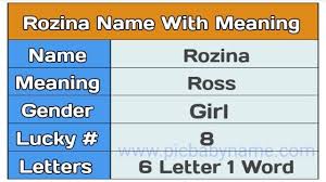 Rozina Name Meaning In 2020 Names With Meaning Girl Names With Meaning Muslim Boy Names