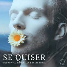 PedroWnx: albums, songs, concerts