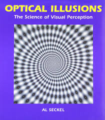 Image result for illusion pictures