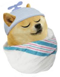 It is a picture of a shiba inu breed dog. Le Baby Lil Bro Has Arrived R Dogelore Ironic Doge Memes In 2021 Doge Funny Profile Pictures Doge Meme