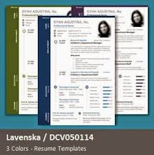 contoh resume customer service