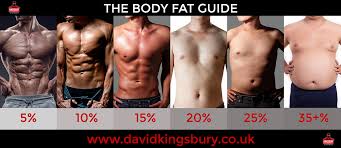 Body Fat Men Chart Jasonkellyphoto Co