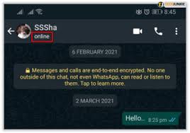 However, it is not the only good chatting site out there. How To Check If Someone Is Online In Whatsapp