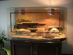 Bearded Dragon Vivarium Google Search Bearded Dragon Terrarium Bearded Dragon Bearded Dragon Cage