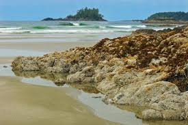 Photographic Print Canada British Columbia Pacific Rim National Park Pacific Ocean At Low Tide On Long Beach By Jaynes Gallery 36x24in Pacific Ocean Pacific Rim Ocean
