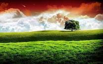 Image result for 15 august shayari in urdu