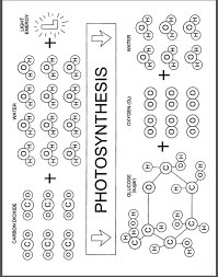 Developed by chantier 7 project team members. Plant Cell Lesson Plans Including Photosynthesis Game And Activity Sheets Ideas Cells Lesson Photosynthesis Teaching Biology
