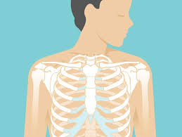Related online courses on physioplus. Sternum Popping Treatment Pain Chest Pain And Symptoms