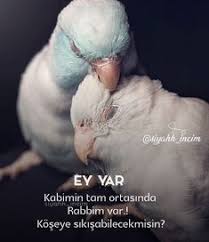 Seda Guzel Soz Ask Yazar Sozleri