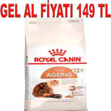 royal canin ageing 12 yas 2 kg amazon pet center balik yagi uzum yaslanma