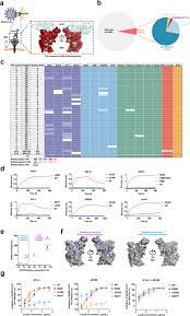 Subsequently, the author managed to investigate the antigenicity of the infectious mutants using 13 neutralizing mabs. The Impact Of Receptor Binding Domain Natural Mutations On Antibody Recognition Of Sars Cov 2 Signal Transduction And Targeted Therapy