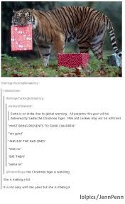 Pin By Meme Dragon On An Assortment Of Funnies Tumblr Funny Funny Cute Cute Funny Animals