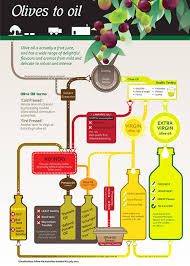 Olive Oil Info