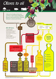 olive oil info