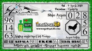 Ahli Hitung Togel Erek Erek Erek Erek Prediksi Jitu 4d Singapore Live 4d Hari Ini Keluar Aki Wilson Bagaimana Membedah Syair Canada Ayam Betina Singapura