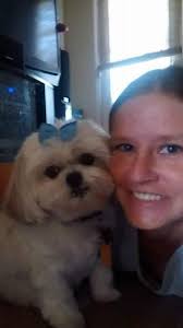 Norbert the therapy dog's legacy lives on