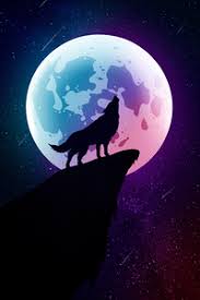 Find the best wolf wallpaper on wallpapertag. Wolf 1440x2960 Resolution Wallpapers Samsung Galaxy Note 9 8 S9 S8 S8 Qhd