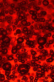 Bestselling azure & togaf® trainer, mct. The Duffy Blood Group System Intechopen