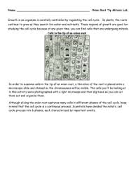 There are four phases of mitosis: Onion Root Tip Online Lab Activity