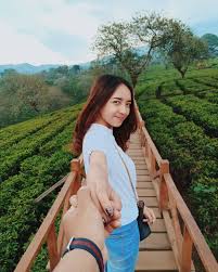Address, phone number, kebun teh wonosari reviews: Tiket Masuk Kebun Teh Wonosari Malang 2021 Wisata Dan Penginapan
