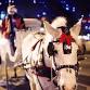 57. WINCHESTER CHRISTMAS MARKET event image