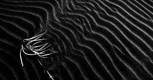 80 gambar sketsa ikan cupang hd paling keren pinstokcom. Halaman Download Paling Bagus 10 Foto Wallpaper Warna Hitam Wallpaper Selandi