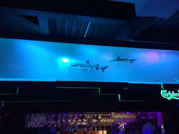 Comedy clubs in kuala lumpur. Live Shark Tank At Bar Bild Von Beach Club Cafe Kuala Lumpur Tripadvisor