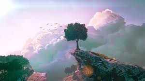 Image result for blender wallpaper