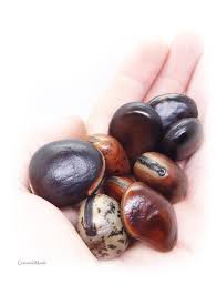 Image result for Macropsychanthus