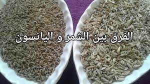 الفرق بين الشمر و اليانسون وفوائد كل من اليانسون والشمر youtube
