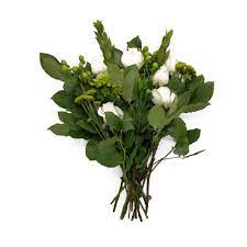 The genus is quite large, comprising several hundred species that are native to warm temperate. Floral At Whole Foods Market