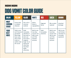 Dogs that vomit yellow bile often have owners who are out of the apartment or home the entire day. Dog Vomit A Guide To The Yucky Stuff Nom Nom