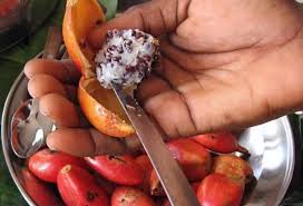 Image result for Aframomum alboviolaceum