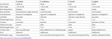 Image result for Tinnea zambesiaca