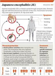 Pin On Japanese Encephalitis