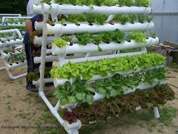 How To Build Small Pvc Pipe Vertical Vegetable Garden How To How To Do Diy Instructions Crafts Do It Yourself Diy Website Vegetable Gardening Pinte