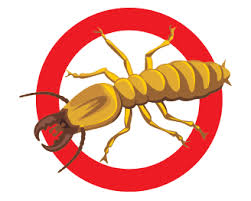 Common pests that inhabit buildings. Top Pest Control Company And Termite Control In Jupiter Fl Jupiter Pest