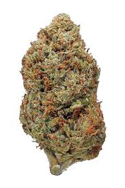 Find nearby dispensaries in lake tahoe, ca. Tahoe Og Kush Strain Hybrid Cannabis Review Cbd Thc Hytiva