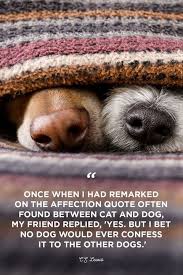 A real cute healing wish for your friend/ family/ loved one. 40 Best Dog Quotes Cute Sweet Quotes About Dogs