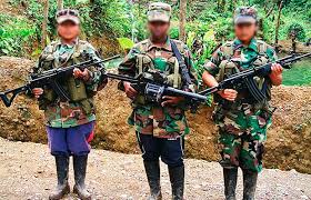 Conozca los detalles sobre la guerra que desangra a colombia. Alias Gentil Duarte Seria El Nuevo Jefe De Las Disidencias De Las Farc Rcn Radio