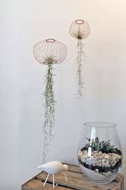 Deko Objekte Kupferdraht Qualle Luftpflanzen Tillandsien S Ein Designerstuck Von Einklangdesign Bei Dawanda Luftpflanzen Pflanzen Pflanzen Dekor