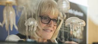 Pandemics and Preservation