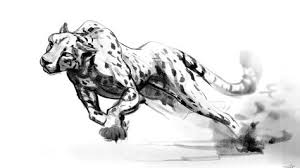 Black And White Cheetah Drawing Cheetah Running Sketch By Arcroto Deviantart Com On Deviantart Cheetah Drawing Running Art Cat Art