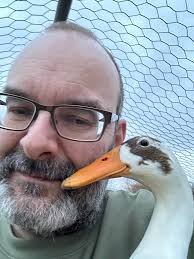 Do ducks lay more than 1 egg a day?