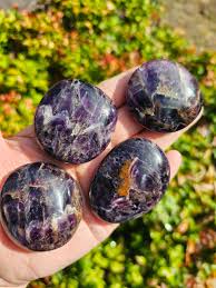 Image result for Ischaemum amethystinum