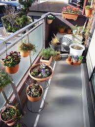Check spelling or type a new query. How To Create A Balcony Moon Garden First Come Flowers