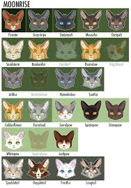 Pin By Lily Kirk On Warriors Cats Warrior Cats Fan Art Warrior Cats Series Warrior Cat Drawings