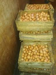 Dengan perkembangan tersebut, perkiraan inflasi juni 2021 secara tahun kalender sebesar 0,81 persen (ytd), dan secara tahunan sebesar 1,40 persen (yoy). Harga Telur Ayam Anjlok Harga Pakan Unggas Meroket Peternak Dampak Ppkm Ekonomi Rri Surakarta