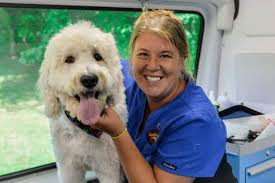 Maybe you would like to learn more about one of these? Groomers Wanted Aussie Pet Mobile Central Florida