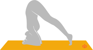 What Is Ardha Sirsasana Definition From Yogapedia